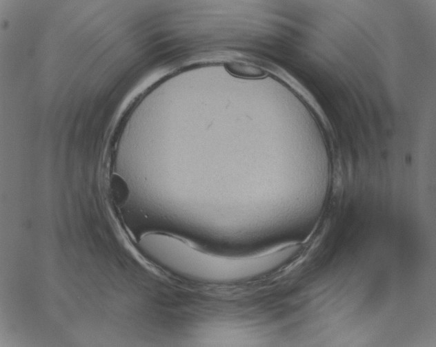 X0000065231053200603101549