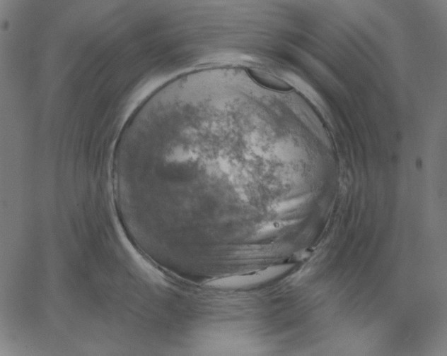 X0000065231055200603101549