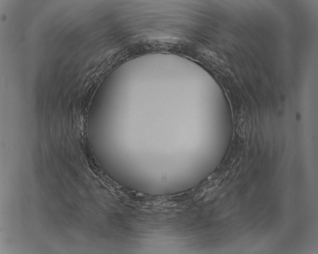 X0000065231061200603101549