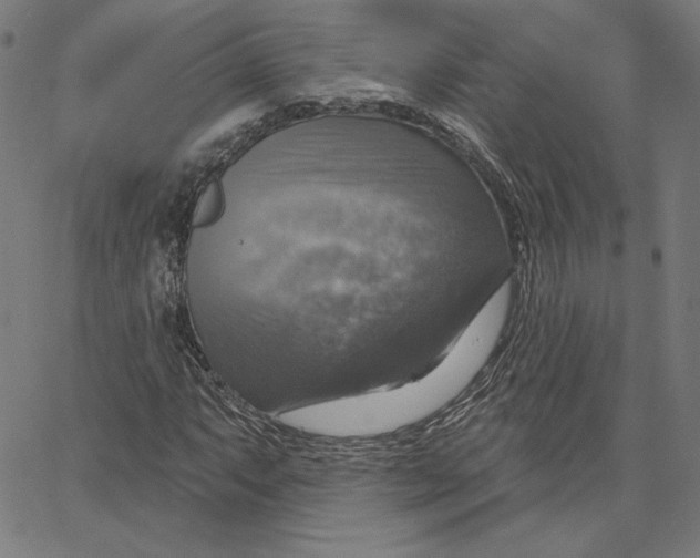 X0000065231063200603101549
