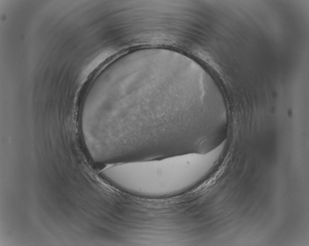 X0000065231071200603101548