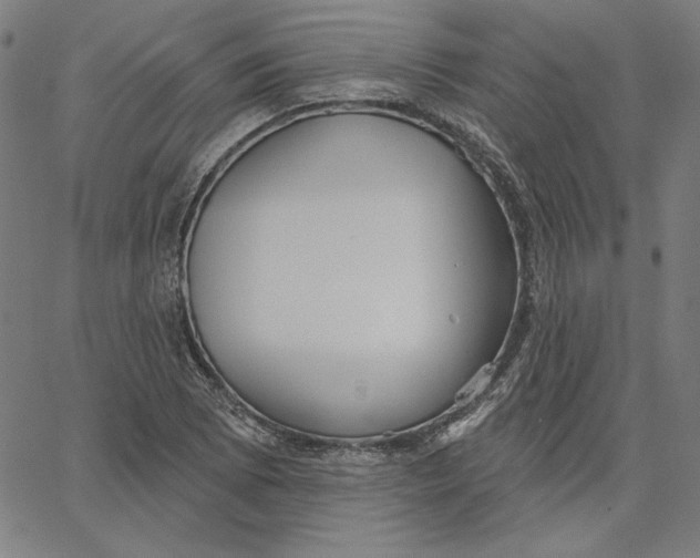 X0000065231073200603101548