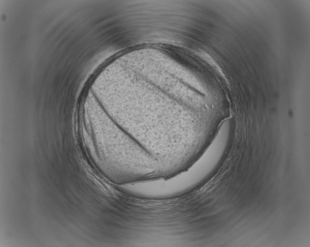 X0000065231076200603101548