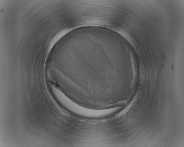 X0000065231077200603101548