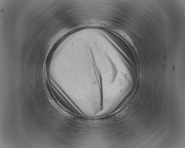 X0000065231080200603101548