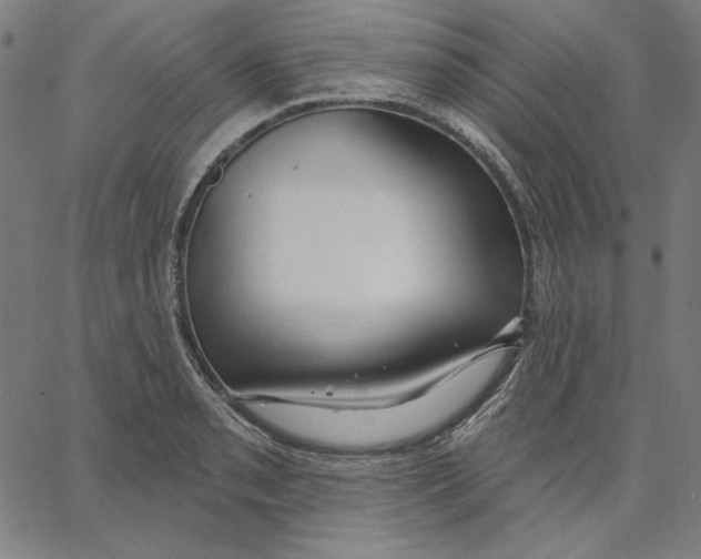 X0000065231085200603101548