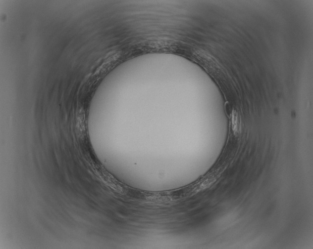 X0000065231107200603101547