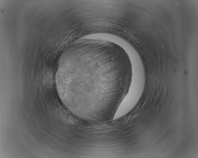 X0000065231108200603101547