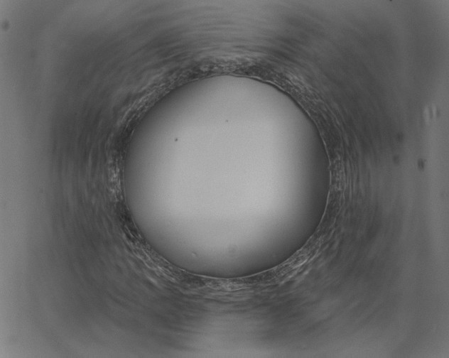 X0000065231109200603101547