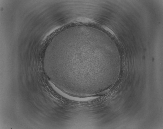 X0000065231112200603101547