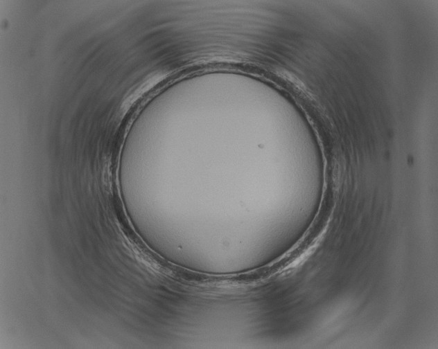 X0000065231113200603101547