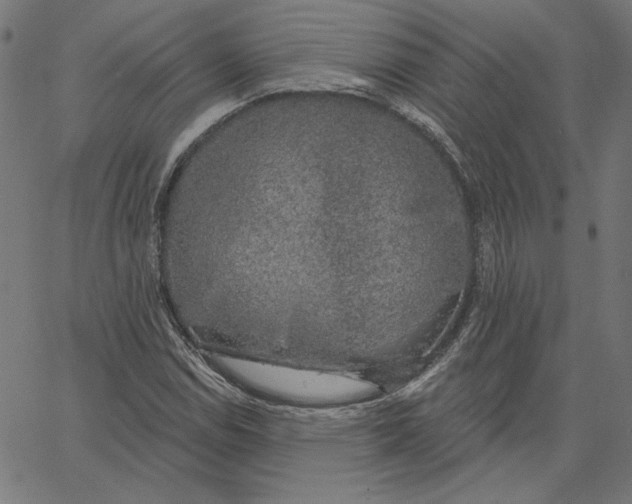 X0000065231114200603101547