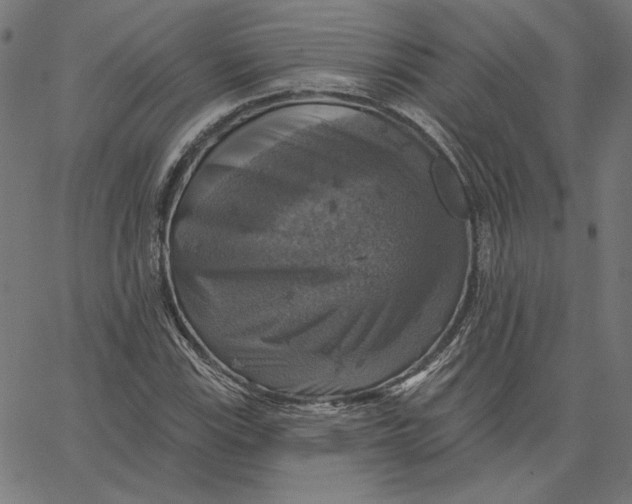 X0000065231115200603101547