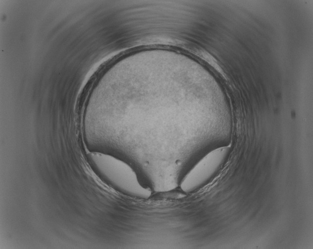 X0000065231116200603101547