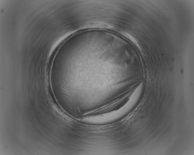 X0000065231120200603101547