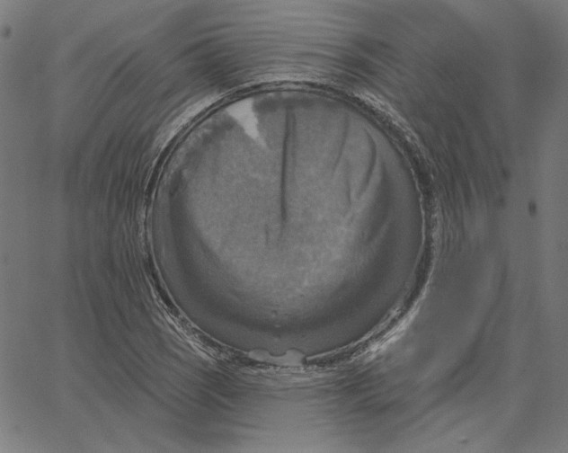X0000065231121200603101547