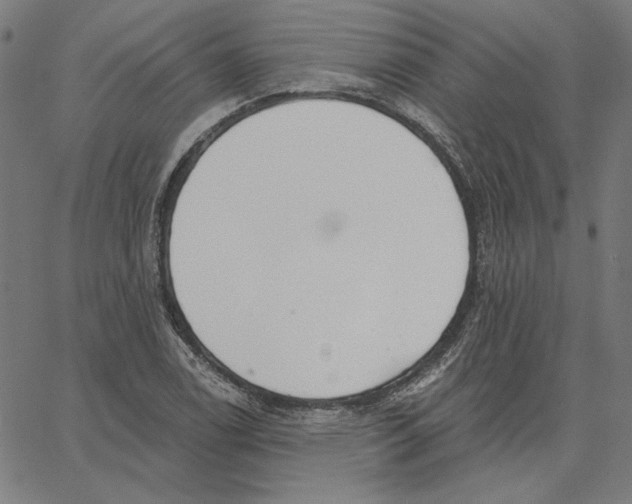 X0000065231122200603101547