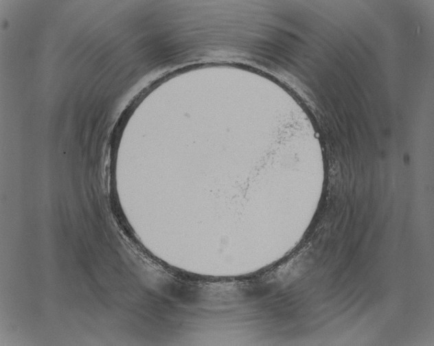 X0000065231126200603101547