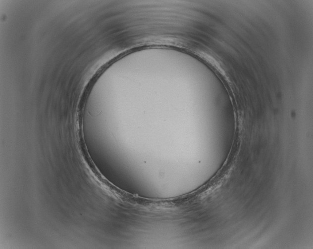X0000065231133200603101548