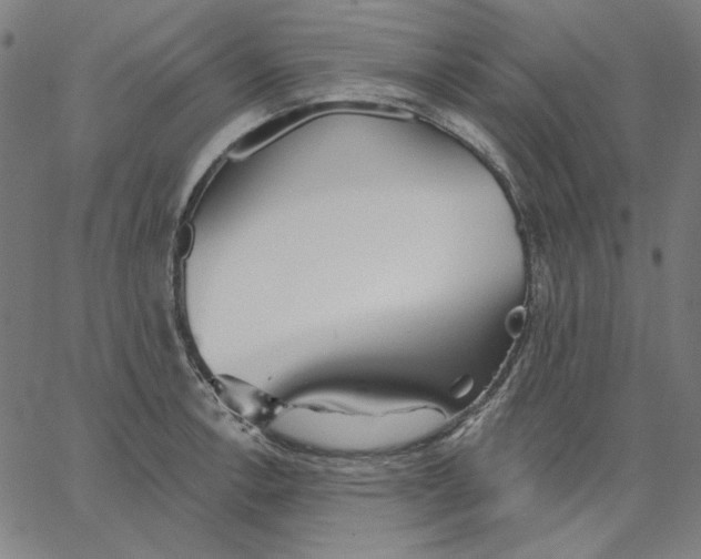 X0000065231138200603101548