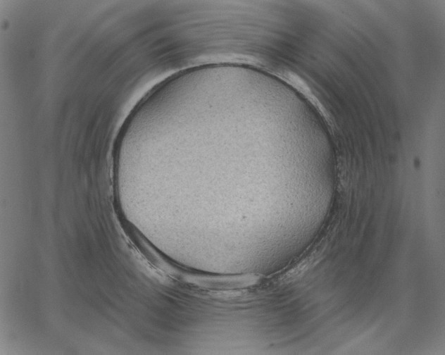 X0000065231140200603101548