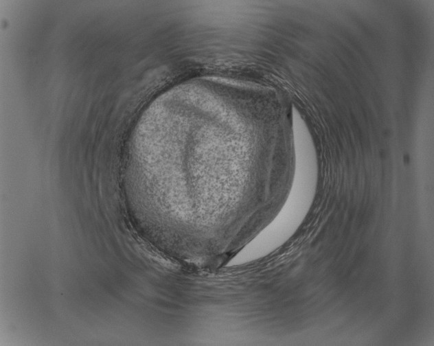 X0000065231153200603101547