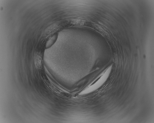 X0000065231154200603101547