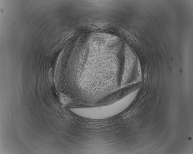 X0000065231156200603101547