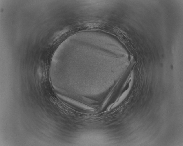 X0000065231158200603101547