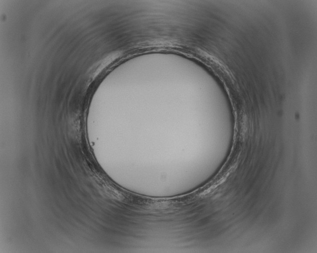X0000065231162200603101547