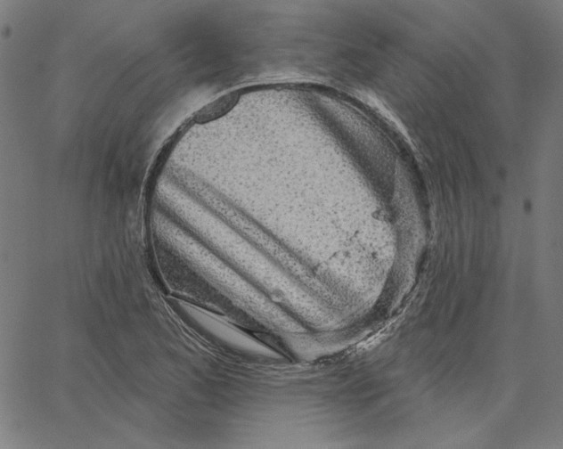X0000065231173200603101547