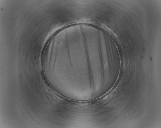 X0000065231174200603101547
