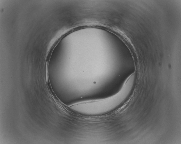 X0000065231175200603101547
