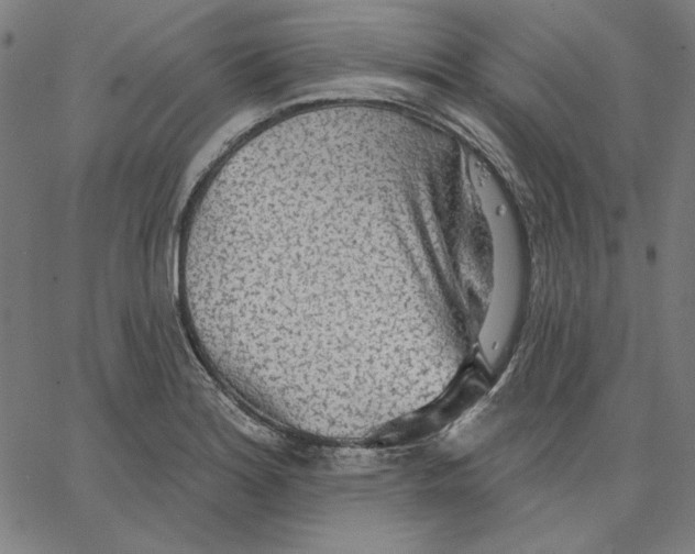 X0000065231180200603101547