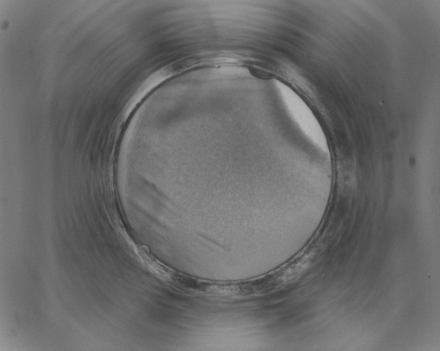 X0000065231194200603101546