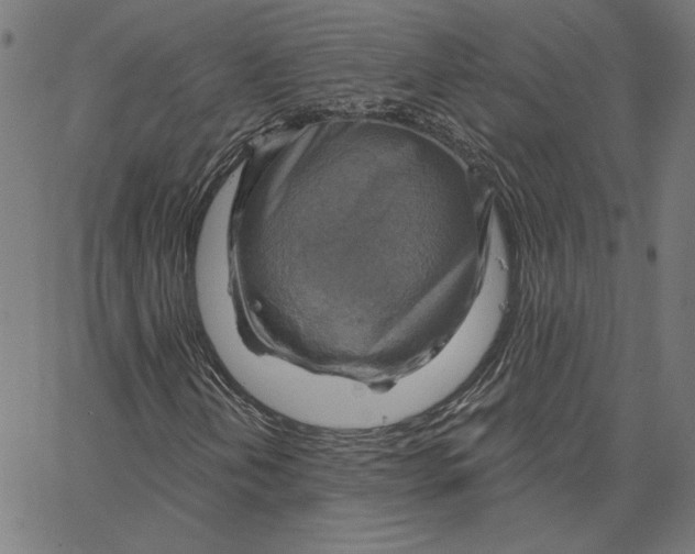 X0000065231202200603101546