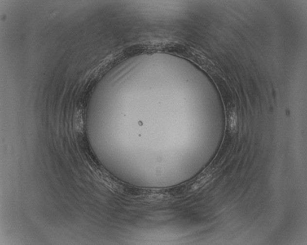X0000065231204200603101546