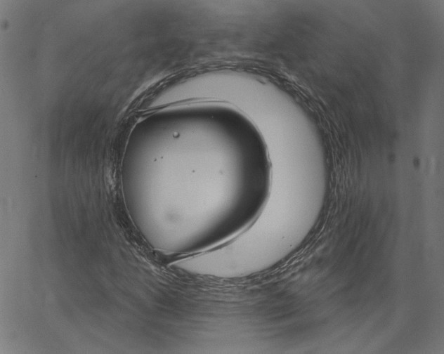 X0000065231206200603101546