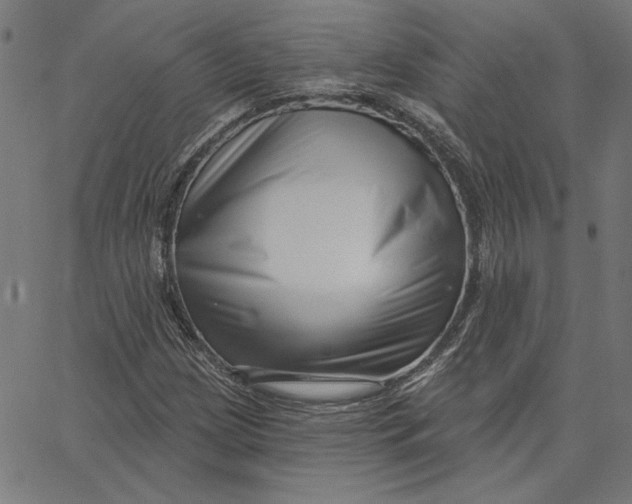 X0000065231209200603101546