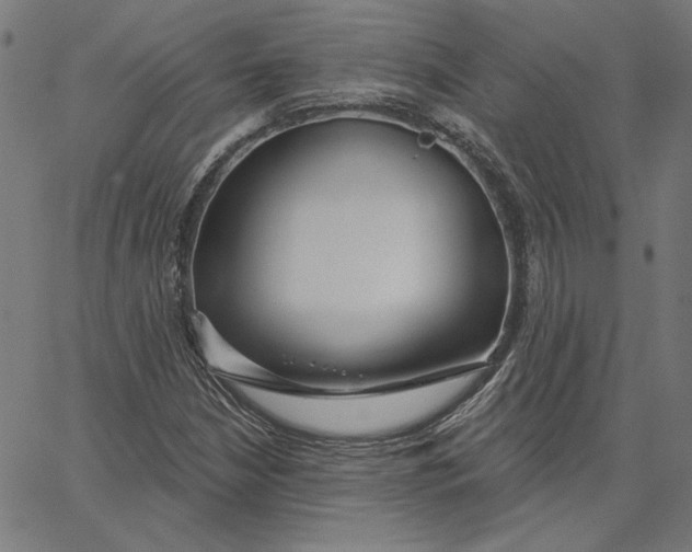X0000065231210200603101546