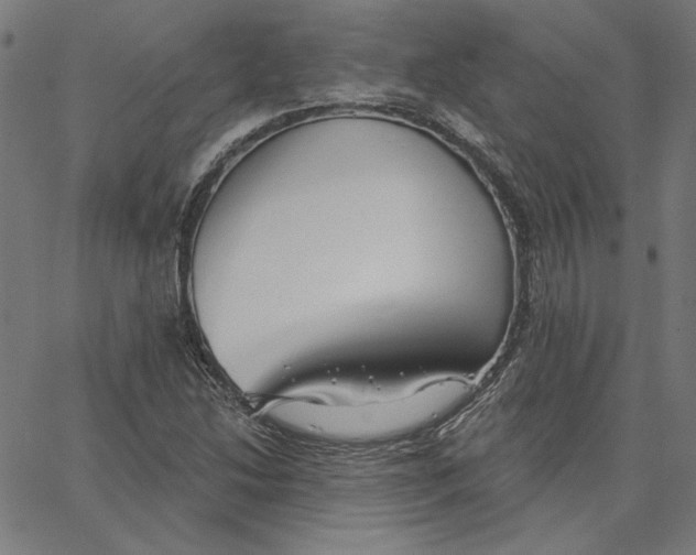 X0000065231214200603101546