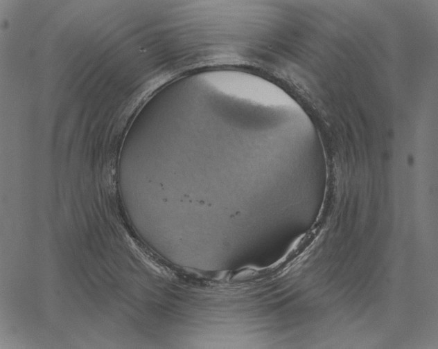 X0000065231225200603101546