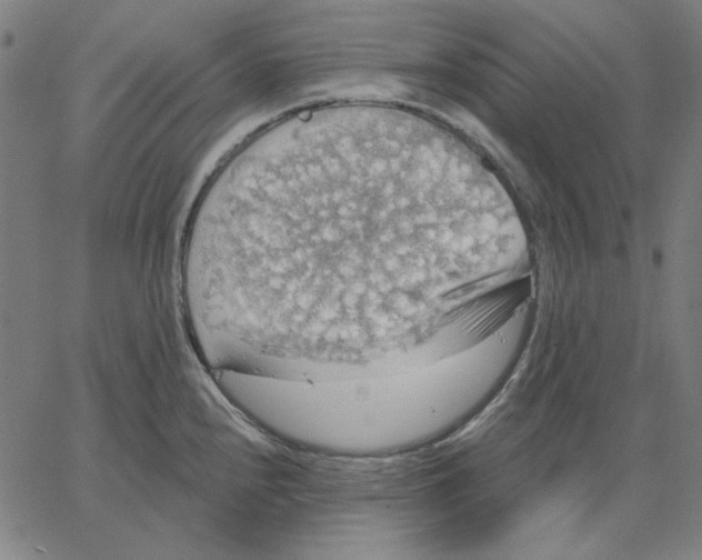 X0000065231240200603101546