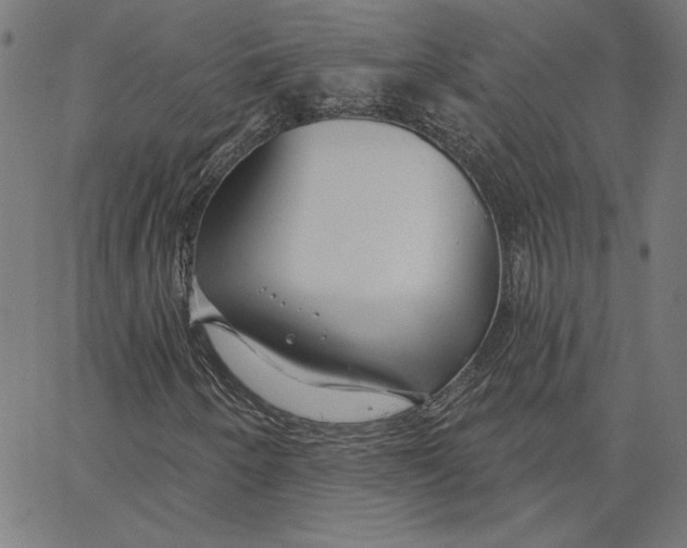 X0000065231250200603101546