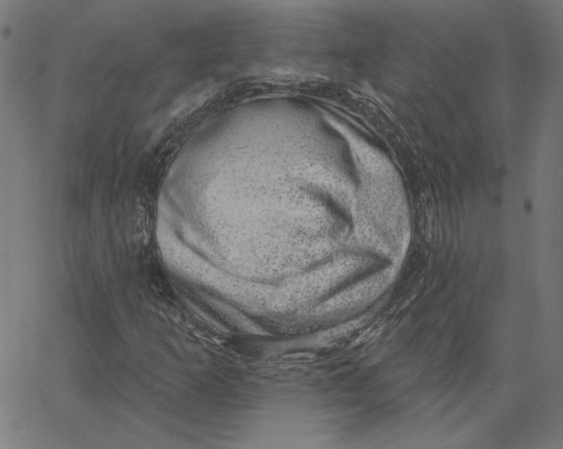 X0000065231253200603101546