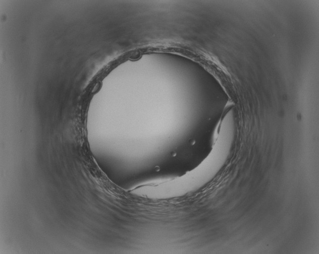 X0000065231256200603101545