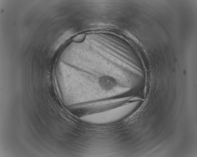 X0000065231259200603101545