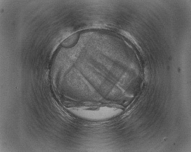X0000065231260200603101545