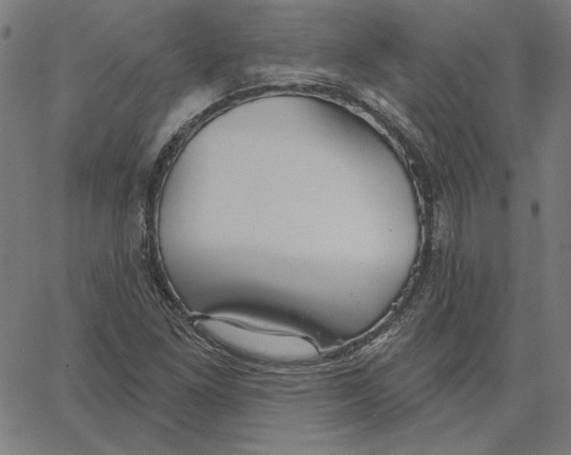 X0000065231261200603101545