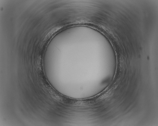 X0000065231265200603101545